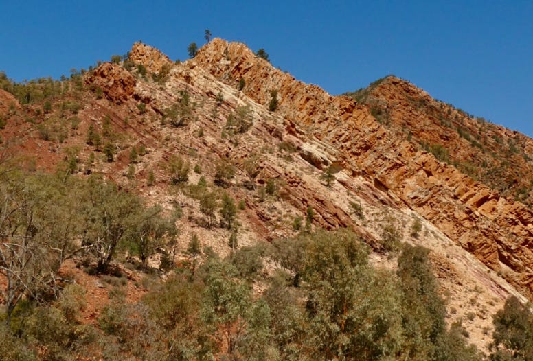 Flinders Ranges Day Tours